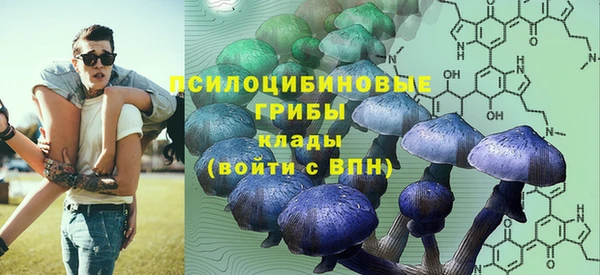 амф Осинники
