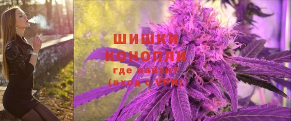 амф Осинники